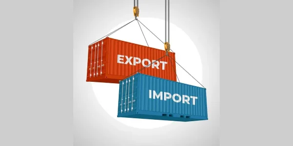 Transitaire en douane en Tunisie _ votre partenaire logistique de confiance